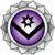 Silver Senior Membership Merit, Small