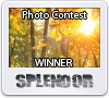 Shao2012PhotoWinner.png