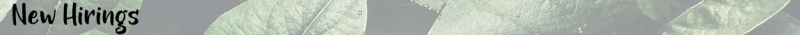 File:Hiring September.png