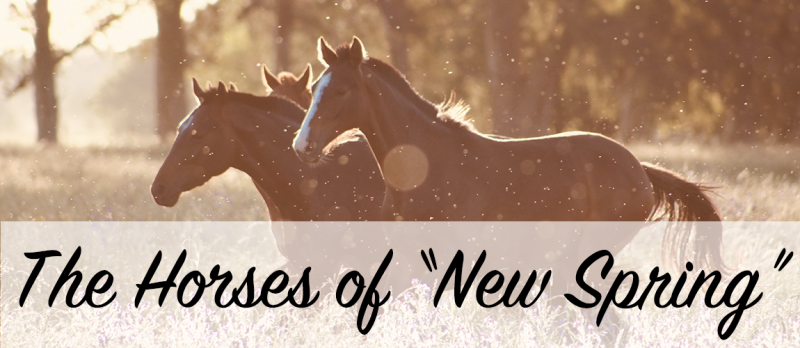 File:HorsesofNewSpring.png