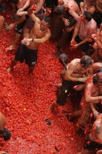 TVT 08 2015 Tomatina2.jpg