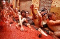 TVT 08 2015 Tomatina1.jpg