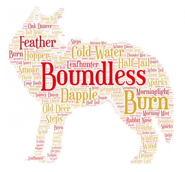 File:Wolveswordcloud.png
