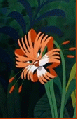 TigerLily.gif